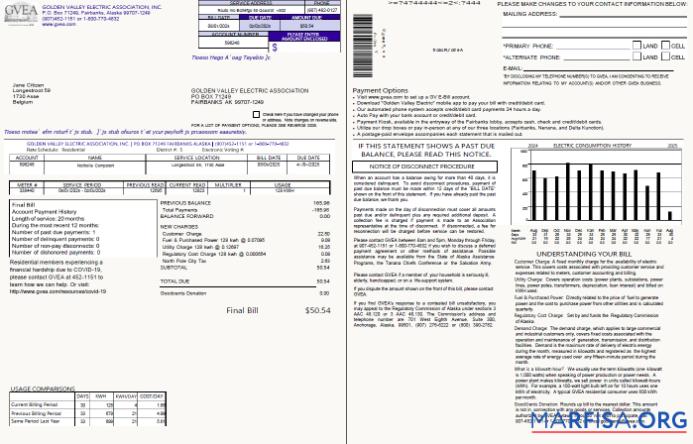 Blank Belgium Golden Valley Electric Association utility bill template in Word and PDF formats, 2 pages